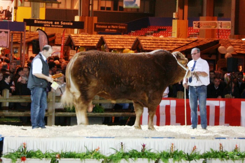 cga 2012 014.JPG